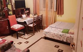 Apartament Cu Doua Camere Si Gradina